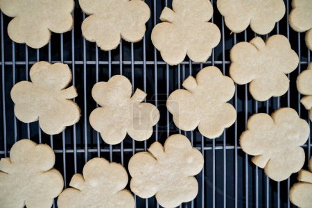 Photo for Overhead View of Fresh Baked Clover Sugar Cookies Cooling on Rack - Royalty Free Image
