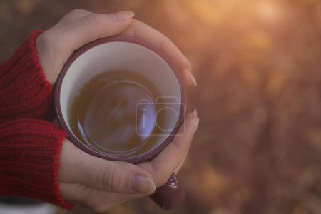Foto de Hermosa chica en suéter sosteniendo la taza de té en las manos en el bosque. Fotografía cálida de otoño, concepto de otoño. Copiar espacio - Imagen libre de derechos