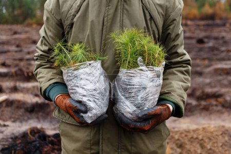 man holds packages of seedlings before planting forest in spring