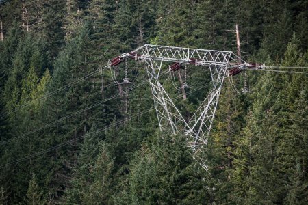 Photo for High voltage power lines contrasted against a forested hillside. - Royalty Free Image