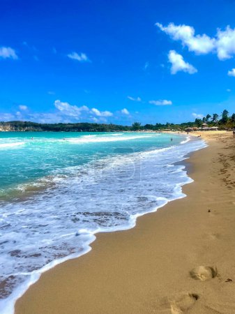 Téléchargez les photos : Plage de sable blanc idyllique des Caraïbes avec eau bleue et mousse de mer blanche - en image libre de droit