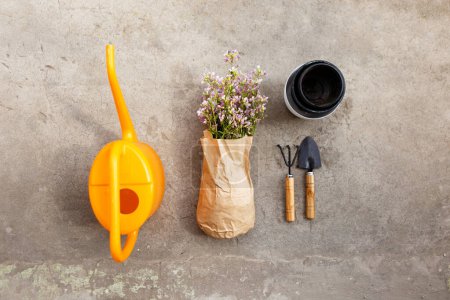 Photo for Balcony flowers on parchment paper next to garden tools and pots - Royalty Free Image