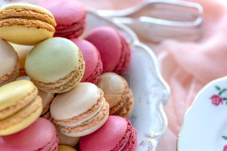 Photo for Pretty French macarons in selective focus for text over lay - Royalty Free Image