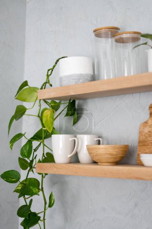 Téléchargez les photos : Plante en pot et vaisselle de cuisine sur étagère en bois moderne sur mur en plâtre - en image libre de droit
