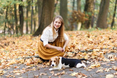 Photo for Young woman is walking a beagle dog in an autumn park - Royalty Free Image