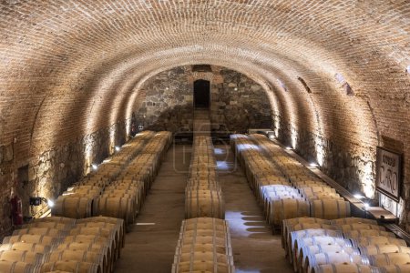 Téléchargez les photos : Belle vue sur les tonneaux de vin dans la cave à Mendoza - en image libre de droit