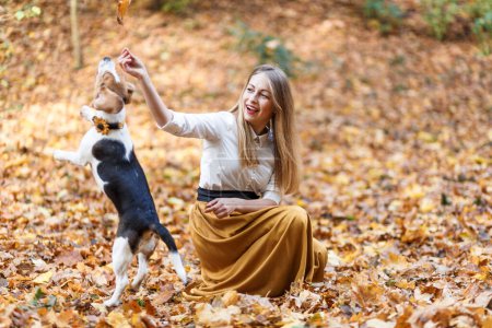 Téléchargez les photos : Jeune fille blonde joue avec un chien beagle dans un parc d'automne - en image libre de droit
