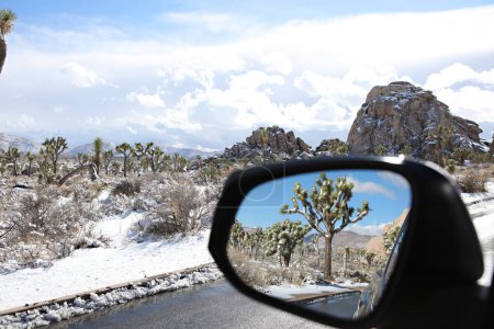 Foto de Reflejo del árbol en el espejo del coche sobre un telón de fondo nevado - Imagen libre de derechos