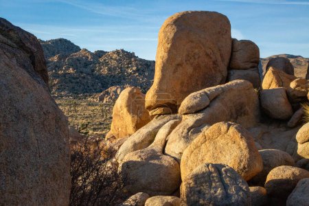 Photo for Boulders and distant Joshua trees in sunlight - Royalty Free Image