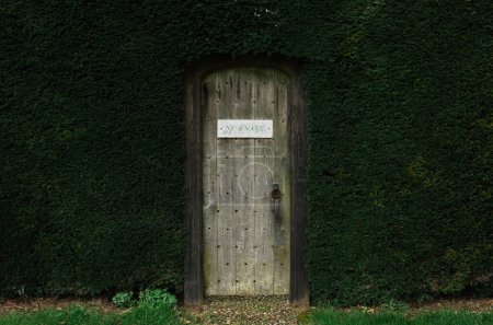 Foto de Vieja puerta de madera en un arbusto verde alto en un jardín en Inglaterra - Imagen libre de derechos
