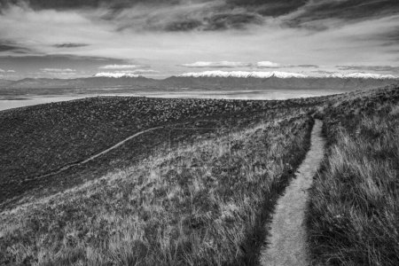 Photo for Trail through grassland, Frary Peak, Antelope Island, Utah - Royalty Free Image