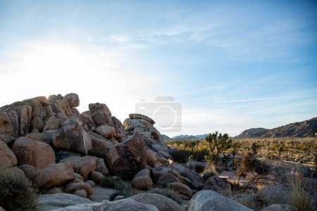 Foto de Montones de rocas iluminadas por el sol y árboles Joshua en la extensión del desierto - Imagen libre de derechos