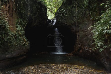 Photo for Waterfall in a cave in the jungle, Bali. - Royalty Free Image