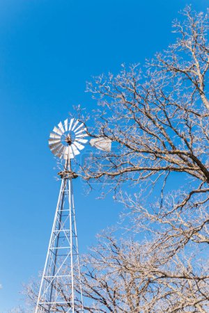 Foto de Molino de viento de metal y árbol desnudo contra un cielo azul claro - Imagen libre de derechos