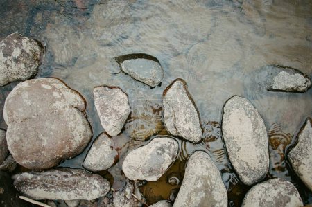Téléchargez les photos : Rochers sur un lit de rivière boueux - en image libre de droit