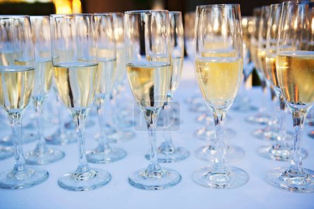 Téléchargez les photos : Rangées de champagne prêtes pour un toast. - en image libre de droit