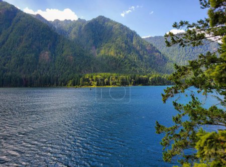 Lago Cushman y las montañas olímpicas