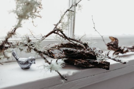 Téléchargez les photos : Oiseau fantaisiste et lichen ornent un rebord de fenêtre serein. - en image libre de droit