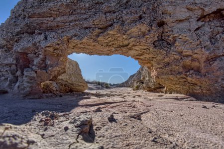 Foto de Arco Duende en Bosque Petrificado AZ - Imagen libre de derechos