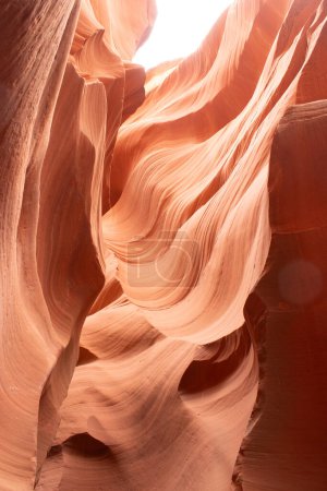 Foto de Impresionantes curvas de las paredes de piedra arenisca de Antelope Canyon - Imagen libre de derechos