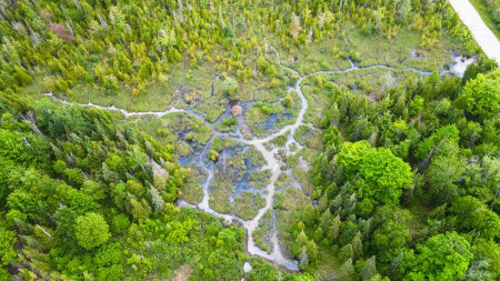 Verzwickte Wasserwege inmitten sattgrüner Wälder in Guelph, Ontario