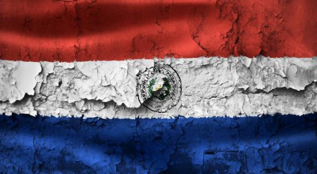 3D-Illustration einer Flagge Paraguays auf einer Grunge-Risswand