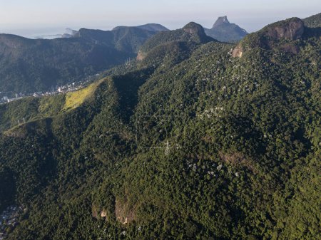 Belle vue aérienne sur les montagnes verdoyantes de la forêt tropicale dans le parc Tijuca