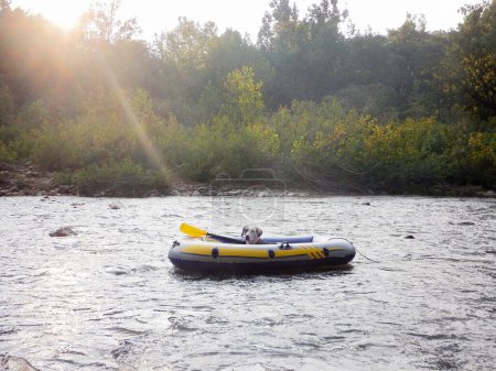Téléchargez les photos : Catahoula chien relaxant sur un radeau jaune dans la rivière - en image libre de droit