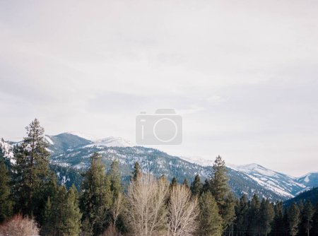 Montañas nevadas y bosques de pinos en Montana