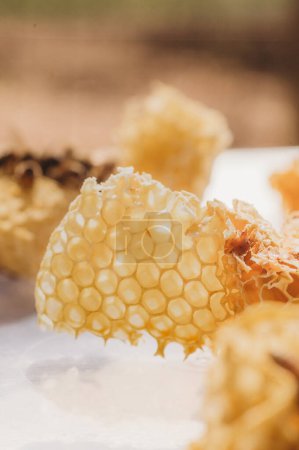 Photo for Honeycomb placed ontop of white beehive in the sunlight - Royalty Free Image