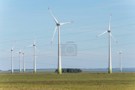 A field of wind turbines with a clear blue sky in the background