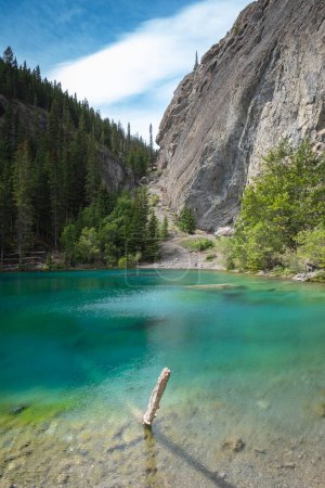 Une branche jaillit de l'eau dans un lac alpin cristallin.