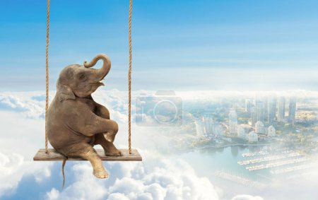 Close up of an Elephant sitting on a swing above a city. Concept of  freedom and happiness.
