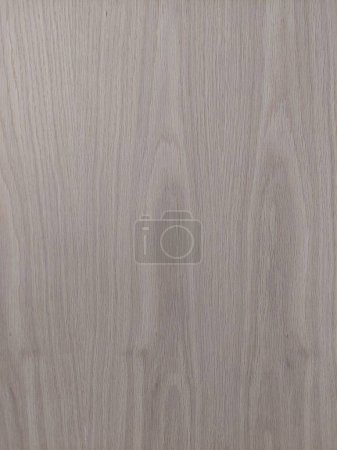 Téléchargez les photos : Wood veneer of texture. Natural finish of white oaks, Light grey color. Image print for illustration, texture, rendering, material, background. Set 4 - en image libre de droit