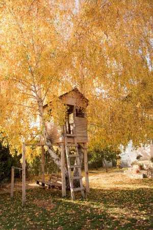 Photo for Front yard,Tree house in the fall - surrounded by yellow leaves - Royalty Free Image