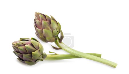 Photo for Two Fresh Artichokes Isolated on White background - Royalty Free Image