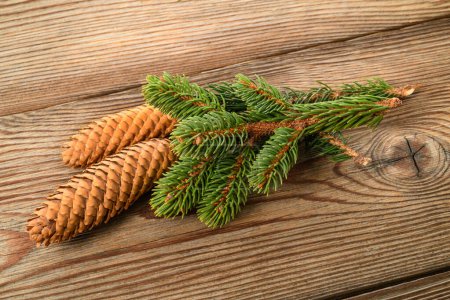 Photo for Spruce branch with cone isolated on wood background - Royalty Free Image