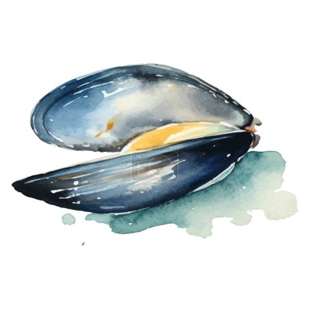 Téléchargez les illustrations : Moules aquarelles peintes. Élément de design de fruits de mer frais dessiné à la main isolé sur fond blanc. - en licence libre de droit