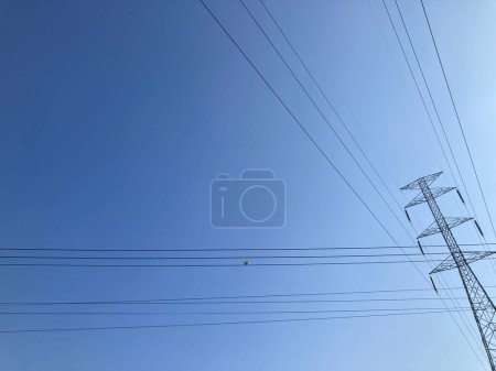 petit perchoir à oiseaux sur une ligne électrique haute tension sur fond de ciel bleu brillant du matin