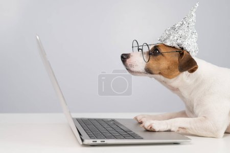 Foto de Jack Russell Terrier perro en un sombrero de papel de aluminio y gafas trabaja en un ordenador portátil - Imagen libre de derechos