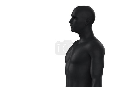 Foto de Ilustración 3D de un torso negro masculino sobre un fondo blanco. maniquí de metal - Imagen libre de derechos