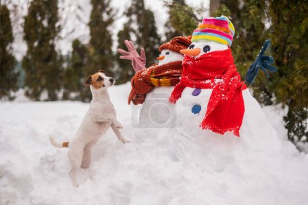 Téléchargez les photos : Un chien en promenade en hiver à côté de deux bonhommes de neige. Jack Russell Terrier porte une écharpe tricotée - en image libre de droit