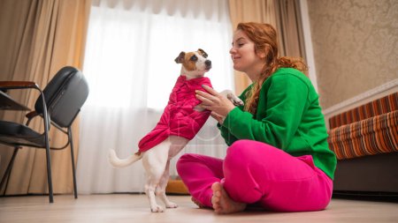 Photo for Caucasian woman hugging a dog Jack Russell Terrier dressed in a pink vest indoors - Royalty Free Image