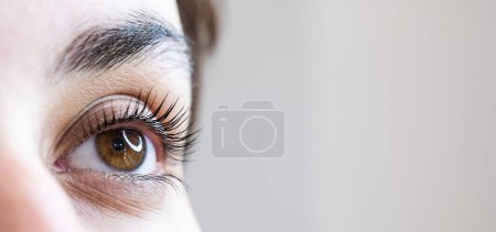 Photo for Close-up of a womans eye after an eyelash lamination procedure - Royalty Free Image
