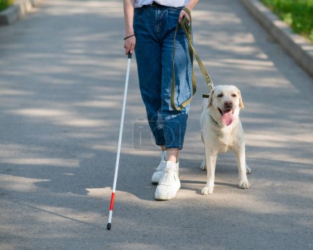 Nahaufnahme weiblicher Beine mit Blindenstock und Blindenhund im Park