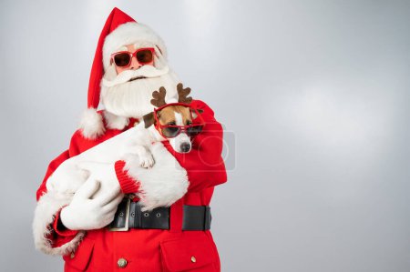 Téléchargez les photos : Portrait de Père Noël claus en lunettes de soleil et chien Jack Russel terrier en rudolf oreilles de renne sur un fond blanc - en image libre de droit