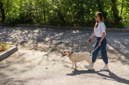 Photo for Blind woman walking with guide dog in the park - Royalty Free Image