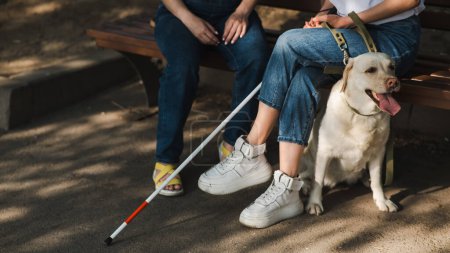 Photo for Blind woman sitting on bench with guide dog and pregnant friend - Royalty Free Image