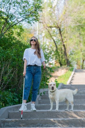 Photo for Young blind woman walking down the stairs in the park with a tactile cane and guide dog - Royalty Free Image