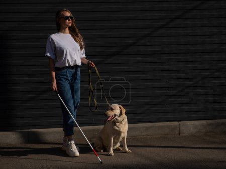 Photo for Blind woman walking guide dog outdoors - Royalty Free Image